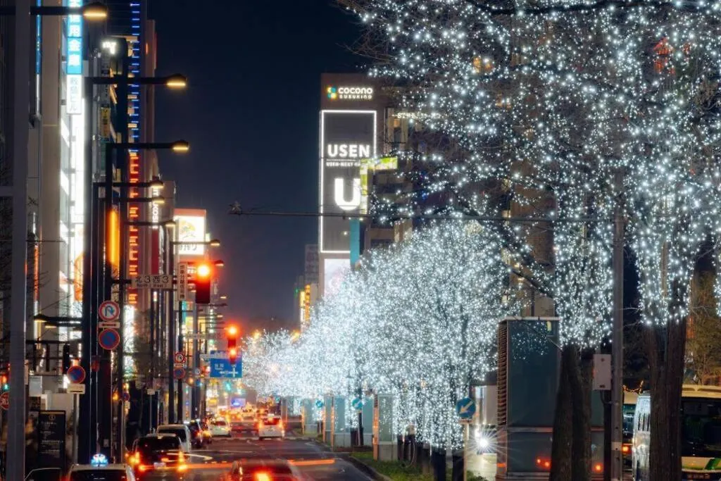 Morganite Apartment Sapporo